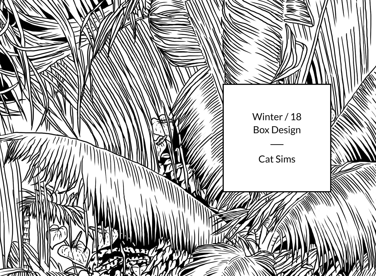 Cat Sims Winter Box 2018