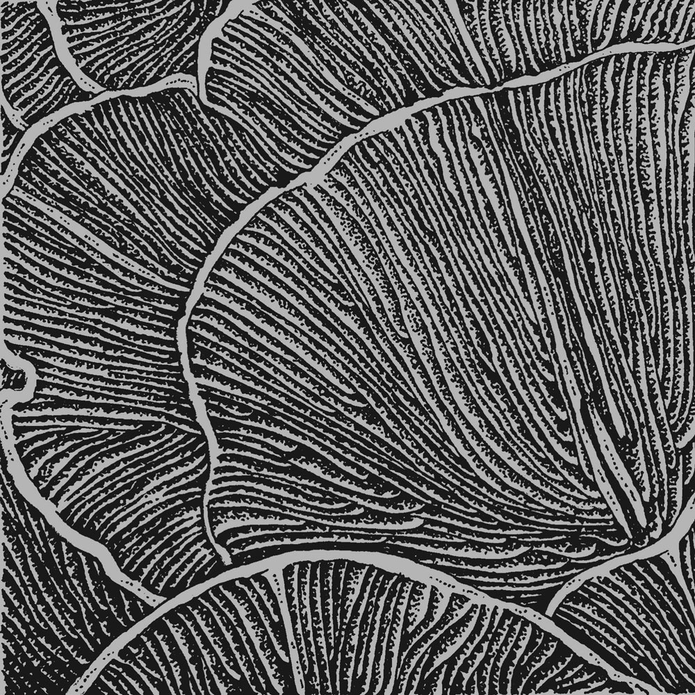 Gills illustration by Victoria Gray
