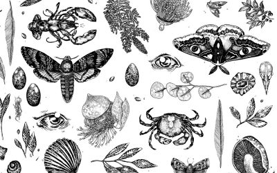 Victoria Clare Gray – Artist Interview