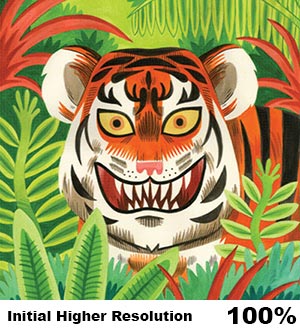 Higher Resolution Original Digital Tiger Image