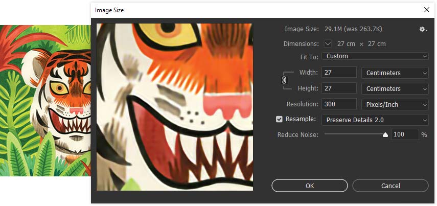 Photoshop Image Settings panel showing Preserve Details 2.0 Resampling
